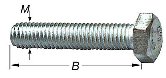 TAPBOUTEN MET MOER, VERZINKTM8 X 25 MM