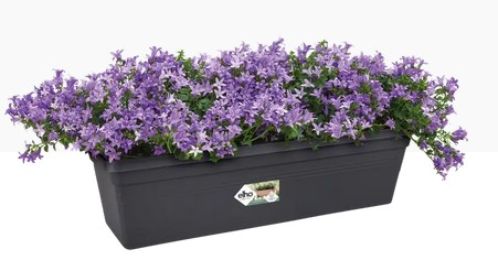 GREEN BASICS TROUGH 40CM