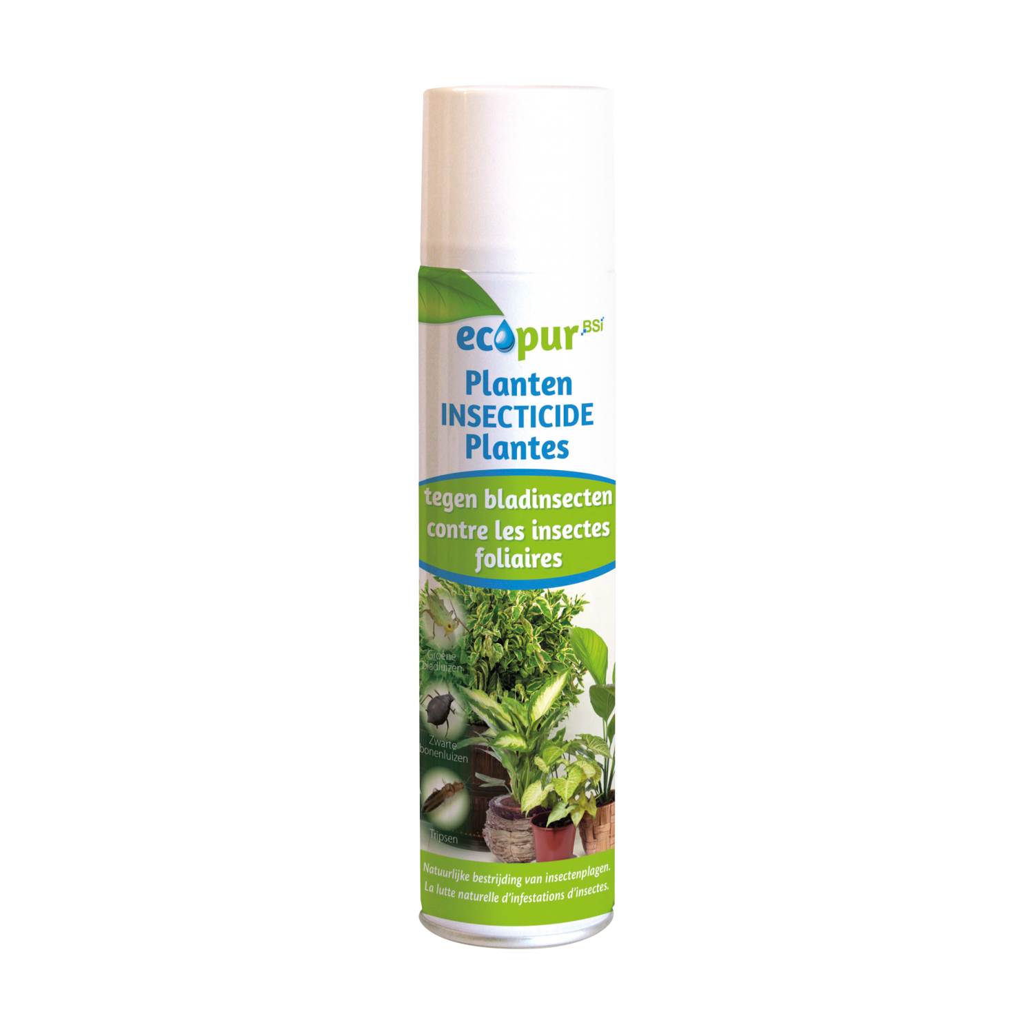 ECOPUR INSECTICIDE