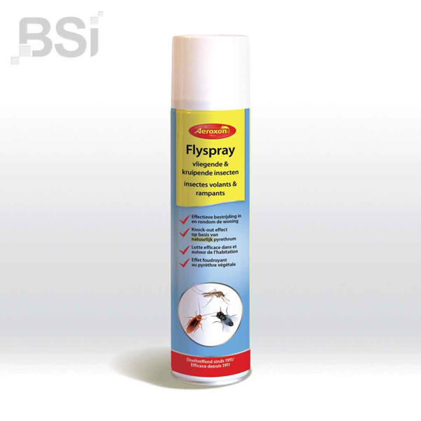 AER FLYSPRAY