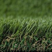PROXYGRASS AIR 50