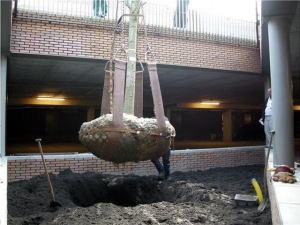 BOMENGROND