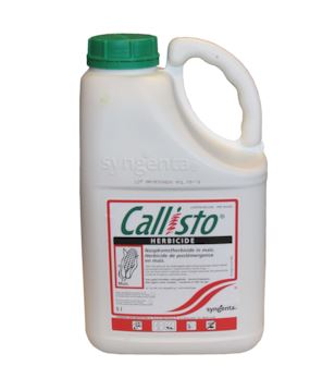 CALLISTO