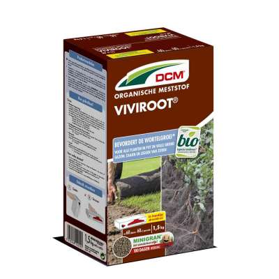 VIVIROOT