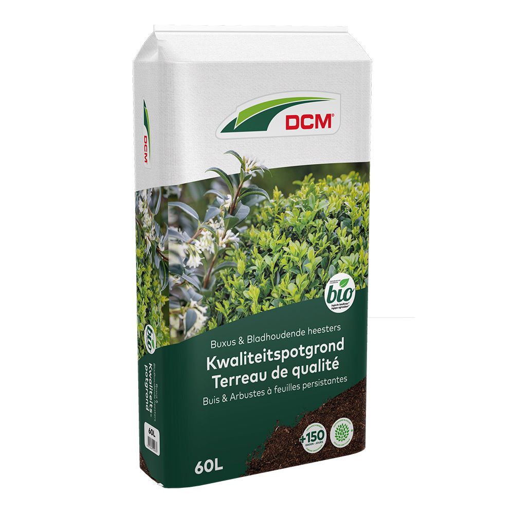 POTGROND BUXUS/BLHEES