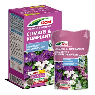 MEST CLEMATIS/KLIMPL