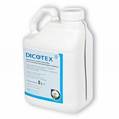 DICOTEX