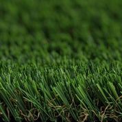 PROXYGRASS DOGGY PLAY
