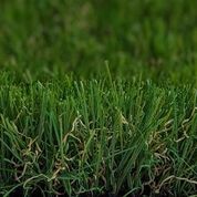 PROXYGRASS LOOK FRISE DELUXE