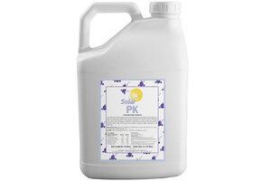 time in pk time in pk