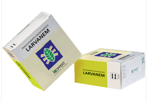 LARVANEM-1 x 250 MILJ. ENGERLING= 250 tot 500 m²