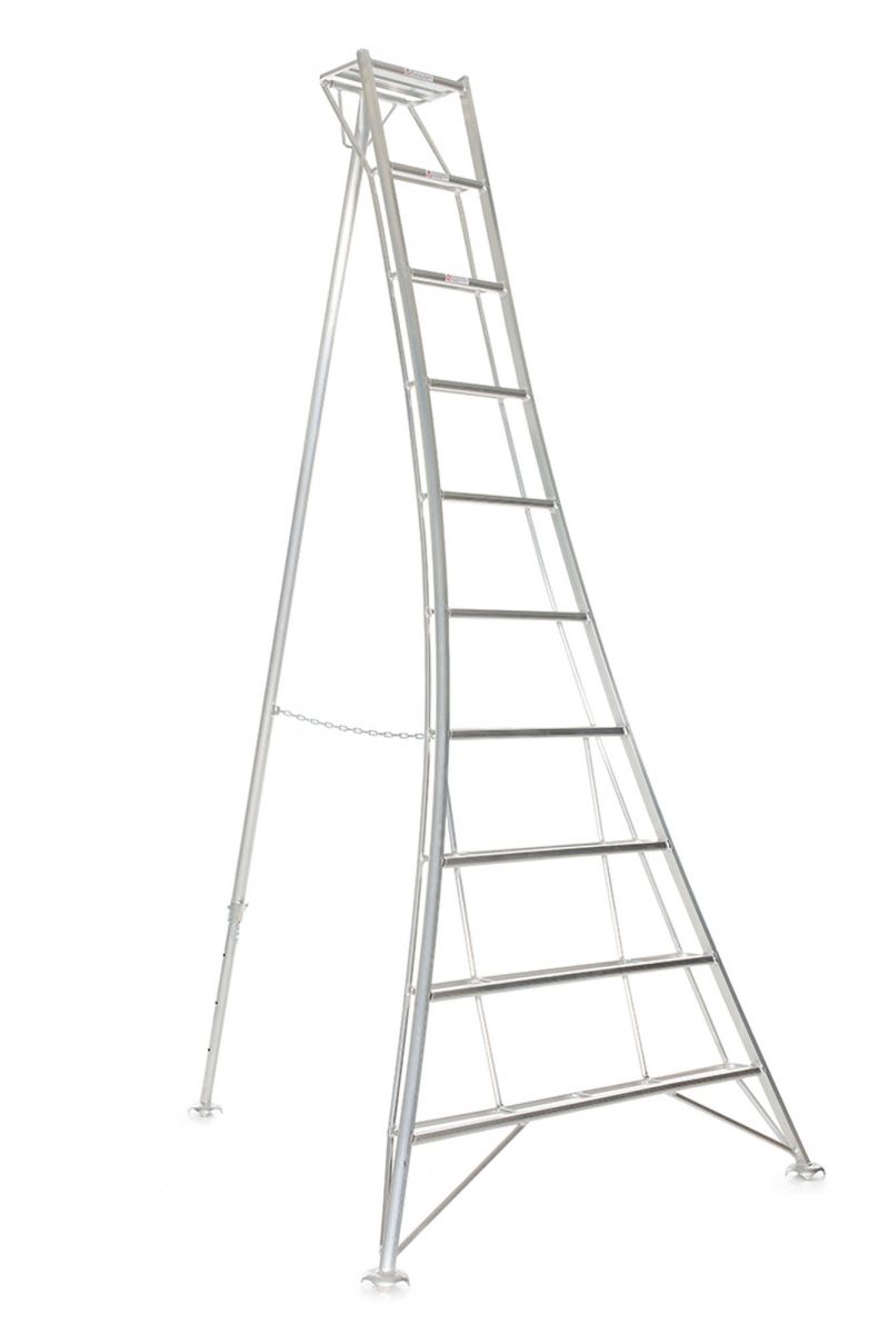 VULTUR LADDER STANDARD - 240 CM