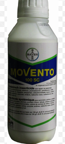 MOVENTO