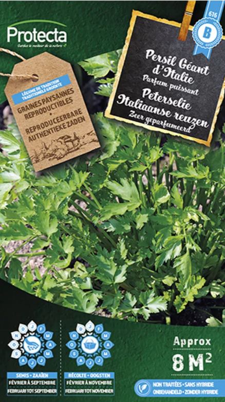 PETERSELIE ITALIAANSE REUZEN