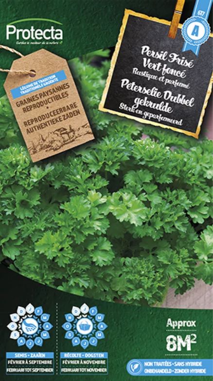 PETERSELIE DUBBEL GEKRULDE