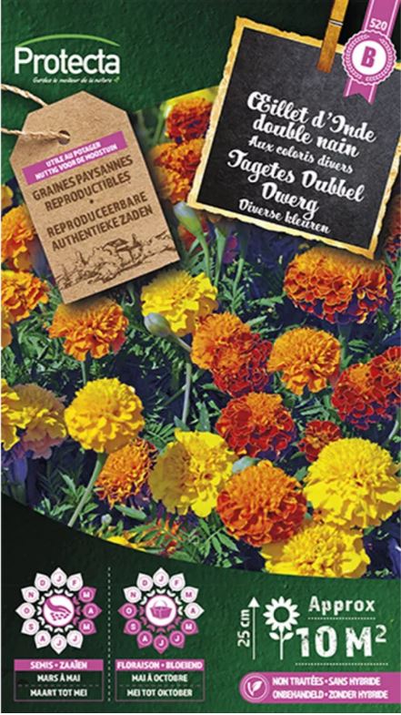 TAGETES DUBBEL DWERG GEMENGD