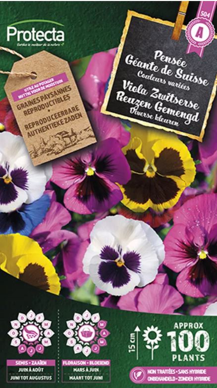 VIOOLTJE ZWITSERSE REUZEN GEMENGD