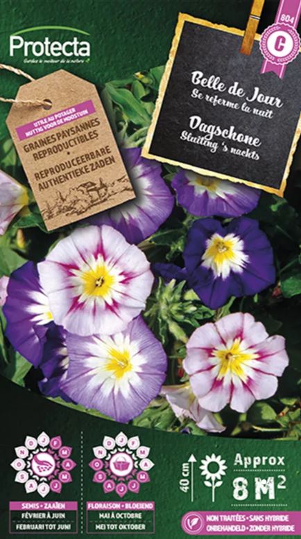 DAGSCHONE GEMENGD