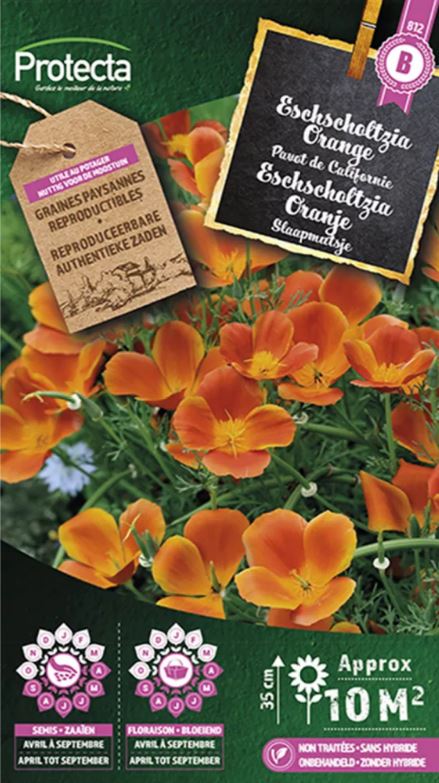 ESCHSCHOLTZIA ORANGE