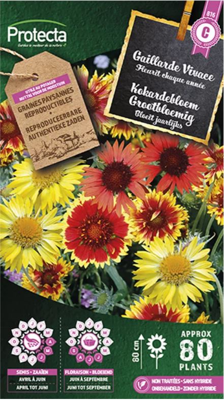 KOKARDEBLOEM