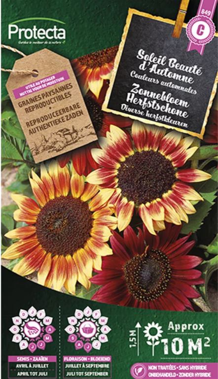 ZONNEBLOEM HERFSTSCHONE
