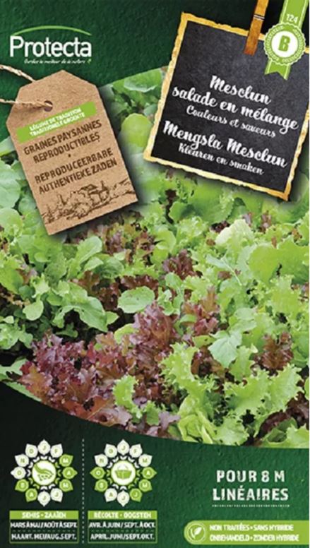 MENGSLA MESCLUN