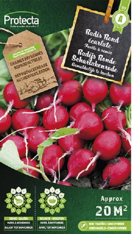 RADIJS RONDE SCHARLAKENRODE