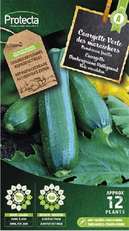 COURGETTE DONKERGROENE VOLLEGROND