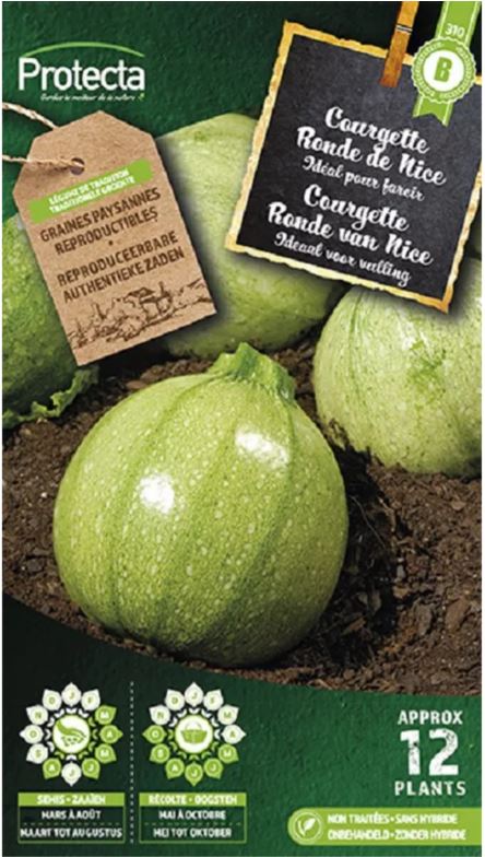 COURGETTE RONDE VAN NICE