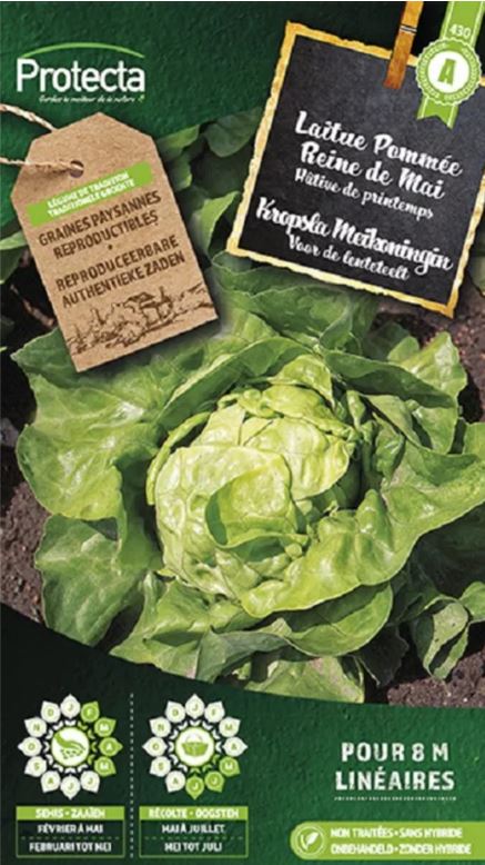 KROPSLA MEIKONINGIN