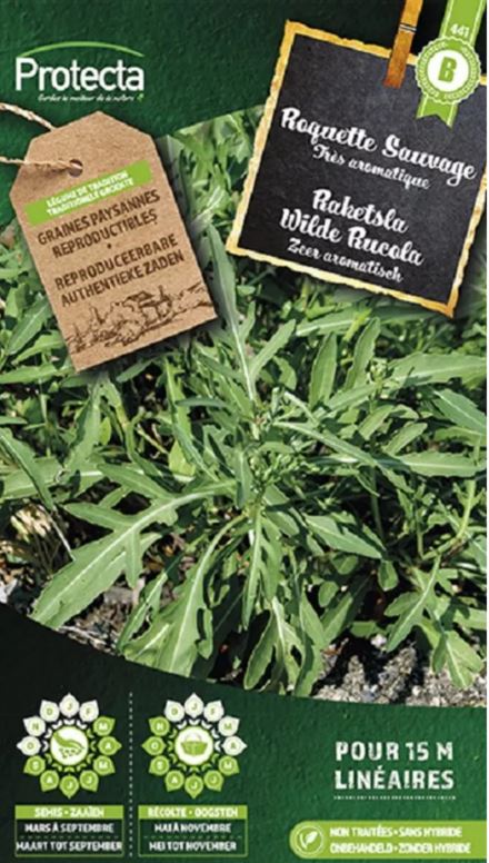 RAKETSLA WILDE RUCOLA