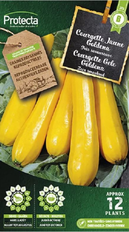 COURGETTE GELE