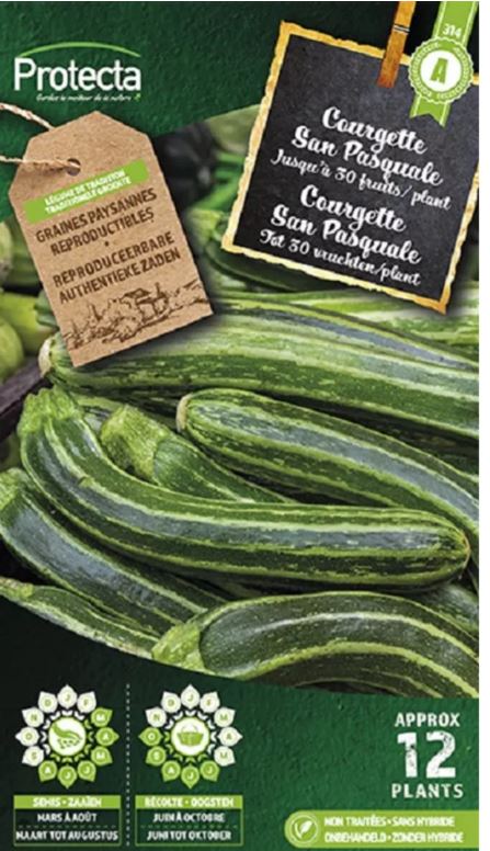 COURGETTE SAN PASQUALE