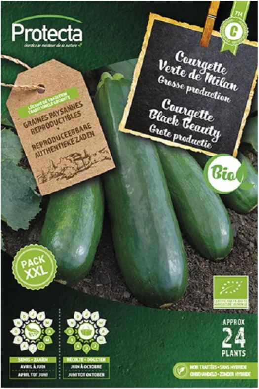 COURGETTE BLACK BEAUTY FR-BIO-15 XXL