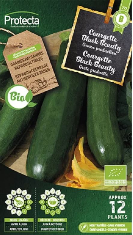 COURGETTE