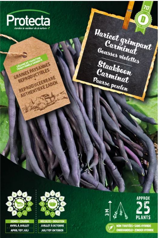 STAAKBOON
PURPLE CARMINAT 25 G