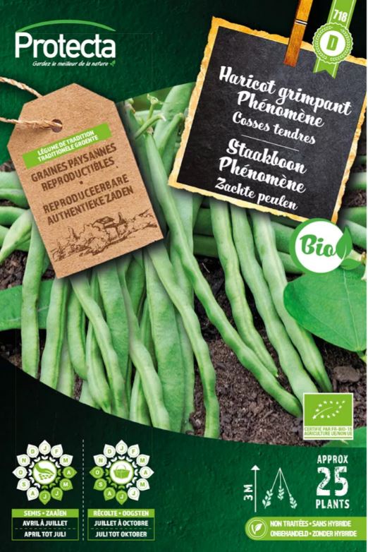 STAAKBOON PHÉNOMÈNE FR-BIO-15