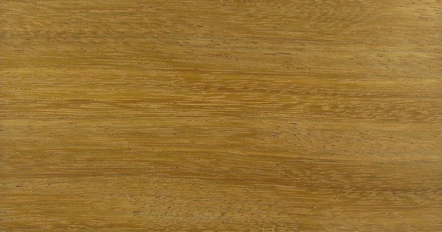 TALI PLANK 21 x 142 MM  - LM