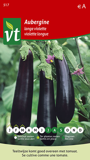 AUBERGINE LANGE VIOLETTE