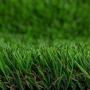 PROXYGRASS AIR