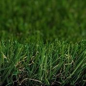 PROXYGRASS LOOK FRISE