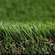 PROXYGRASS FIX GALAXY
