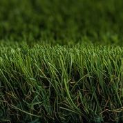 PROXYGRASS LOOK OCRA DELUXE