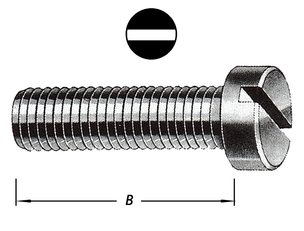 METAALBOUTEN CIL.KOP MET MOERM4 X 10 MM