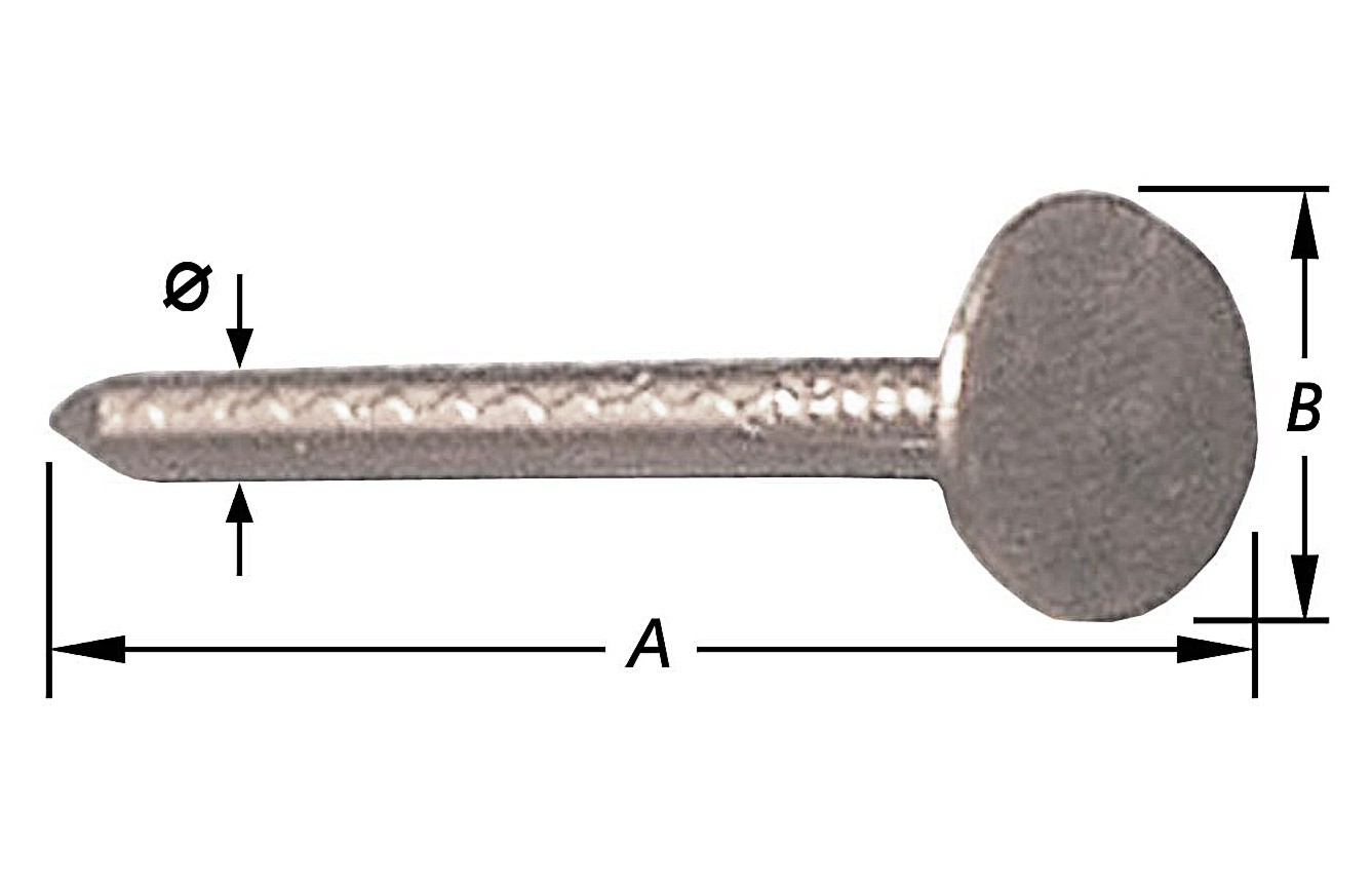 SCHALIENAGELS, BREDE KOP 10 MM3 X 20 MM