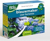 BLAUWMAKER HORTENSIA