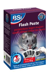 BSI FLASH PASTA 4 x 10 GR