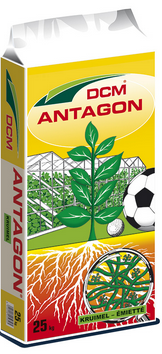 ANTAGON KRUIMEL