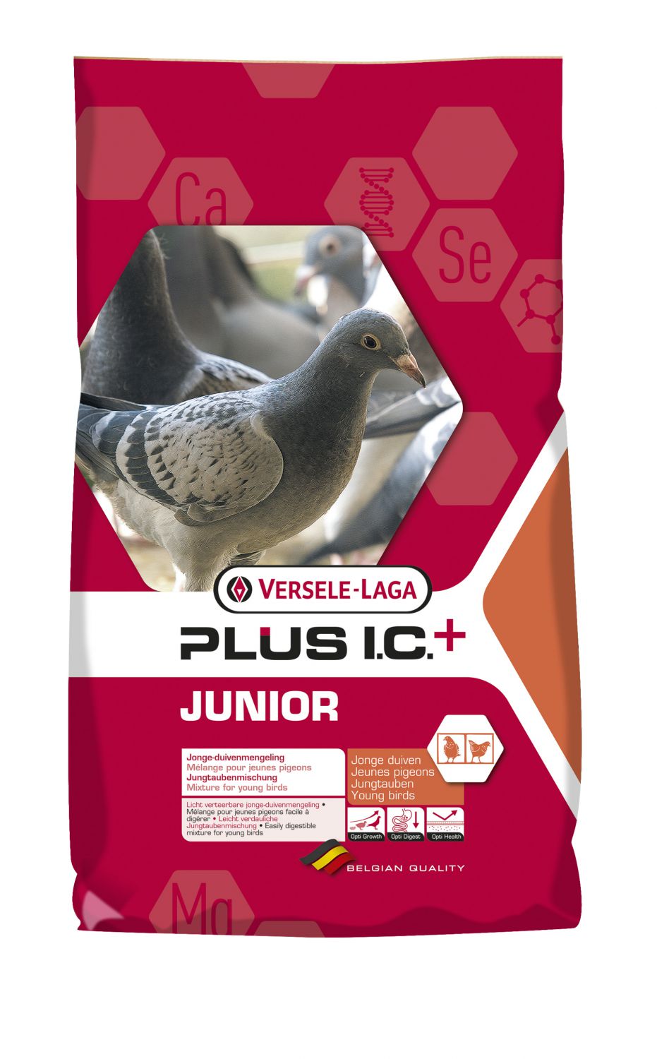 JUNIOR PLUS I.C. 20 KG