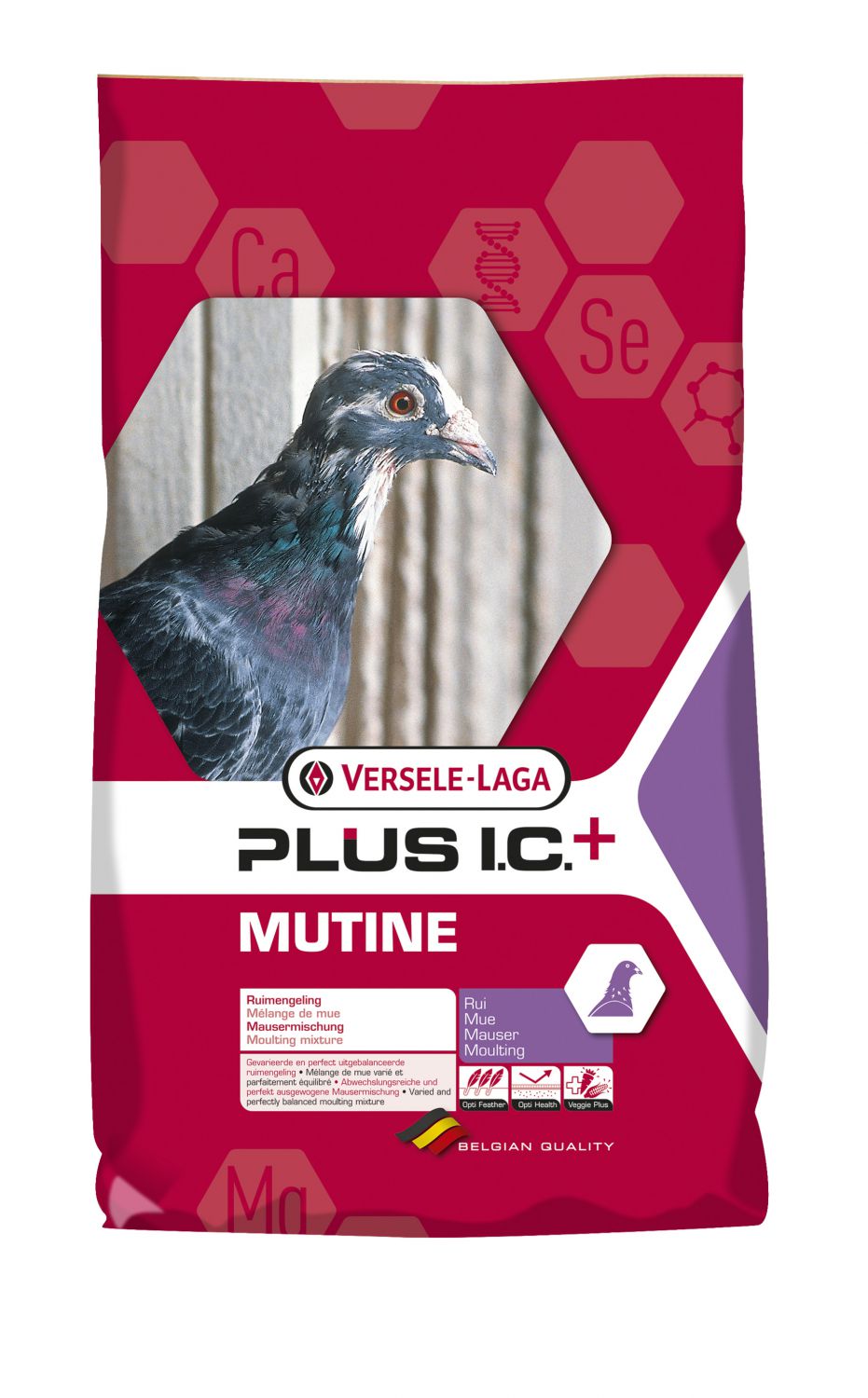 PLUS I.C.? MUTINE 20 KG